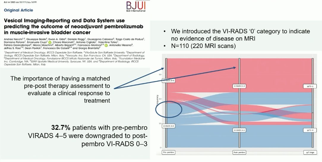 VI-RADS scoring system