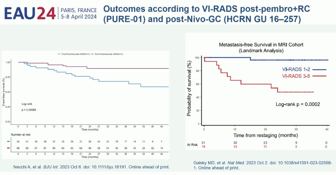 VI-RADS scores and PURE-01 trial and among patients from the bladder-sparing HCRN GU-16-257 trial