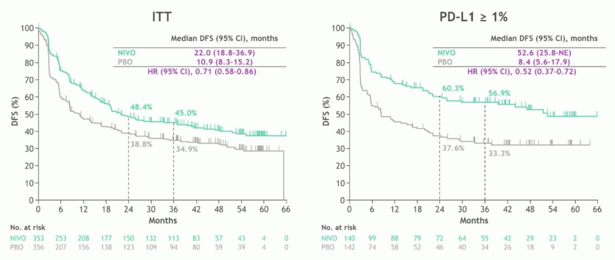 nivolumab versus placebo