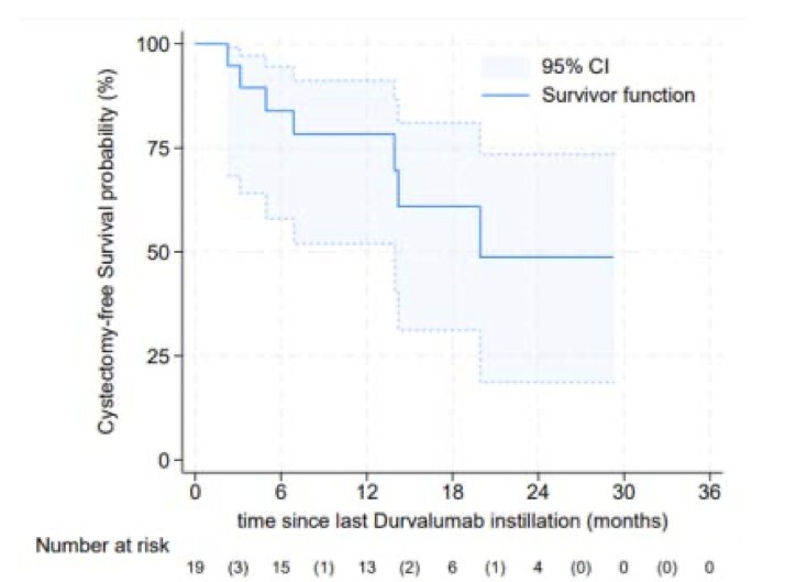 durvalumab cysectomy free survival