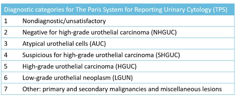 The Paris System