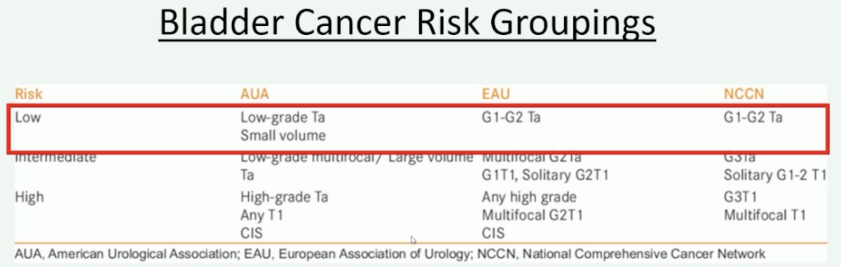 bladder cancer risk groupings