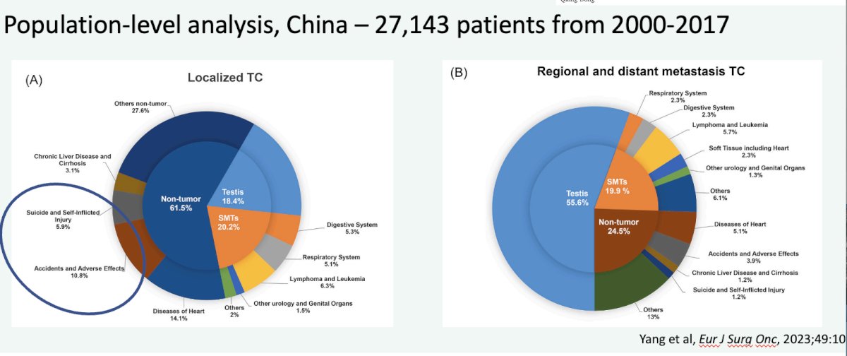 Chinese population-level analysis for testicular cancer