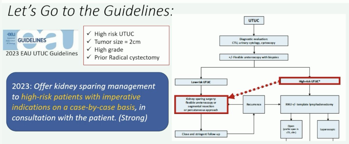 EAU supports a similar approach to these patients with kidney-sparing management