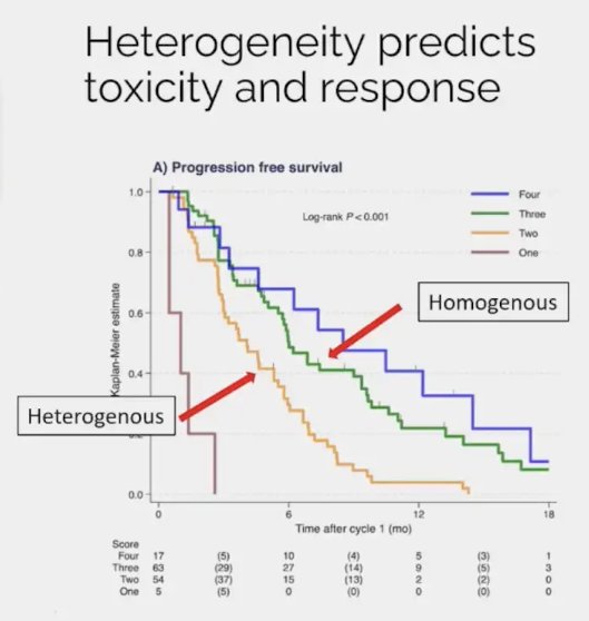 heterogeneity predicts toxicity and response