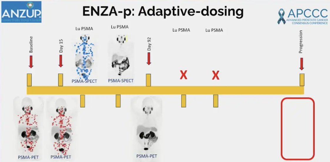 ENZA-p trial adaptive dosing