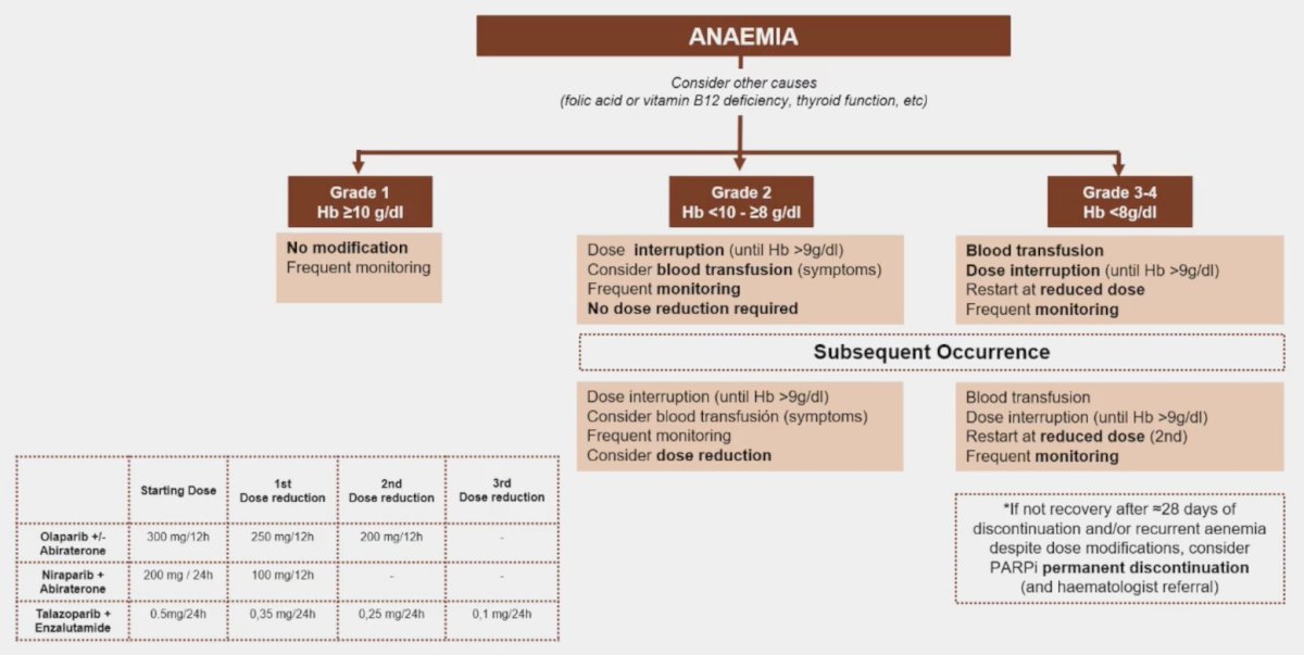 APCCC 2024: How to Manage Side Effects of PARP Inhibitors?