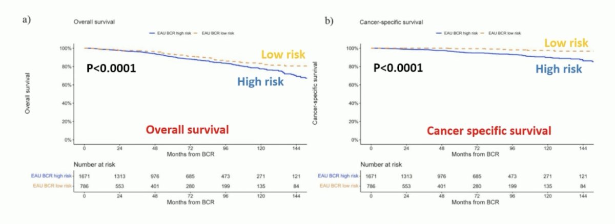 preisser et al low risk biochemical recurrence had improved outcomes versus high risk