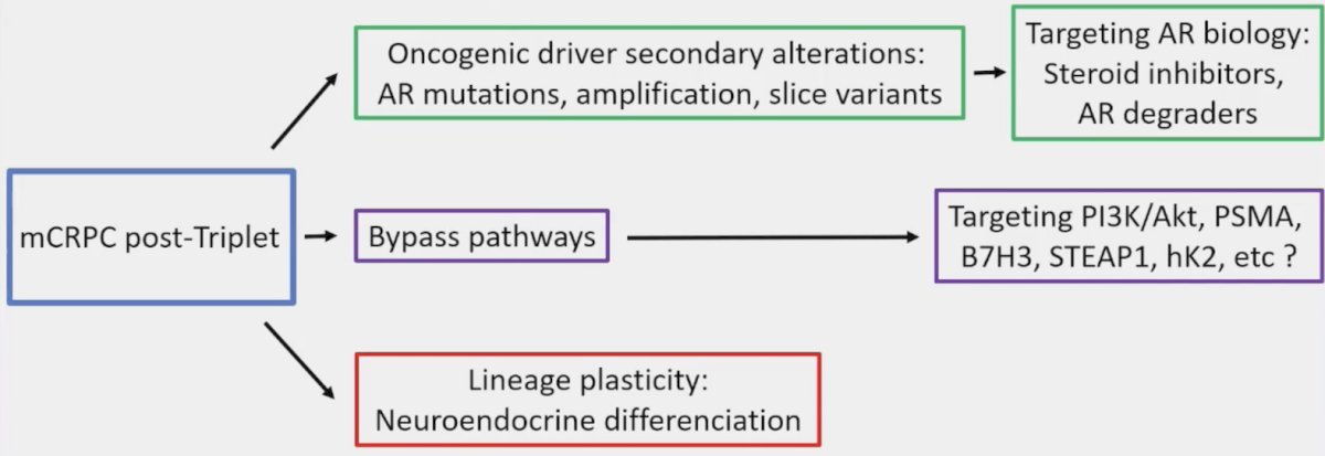 oncogenic driver secondary alterations, bypass pathways, and lineage plasticity