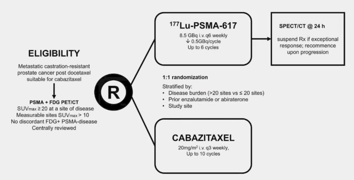 177Lu-PSMA-617  TheraP trial