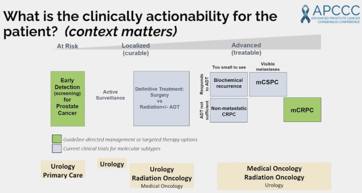 What is the clinical actionability of such mutations for the patient? 