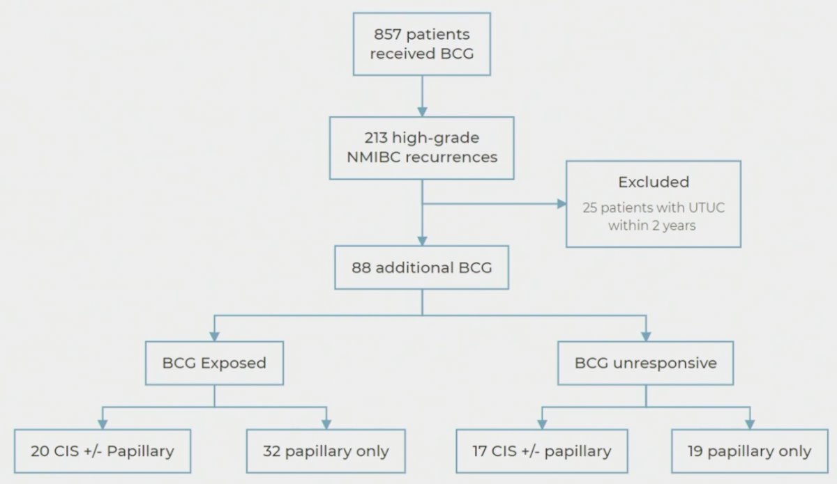 continued BCG in patients with BCG-exposed non-muscle invasive bladder cancer study flow