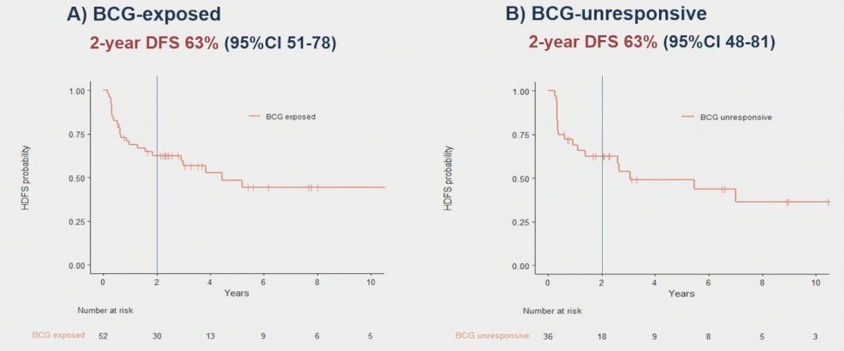 Two-year high grade disease-free survival was 63% in both BCG-exposed and unresponsive patients.
