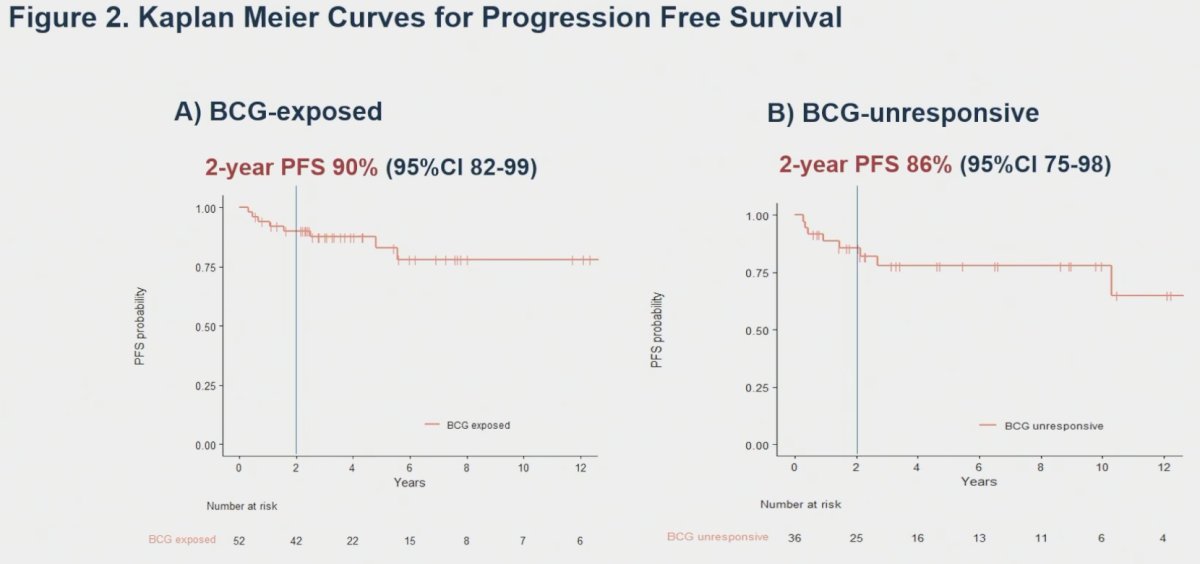 Two-year progression-free survivals were 90% and 86% for BCG-exposed and unresponsive patients, respectively.