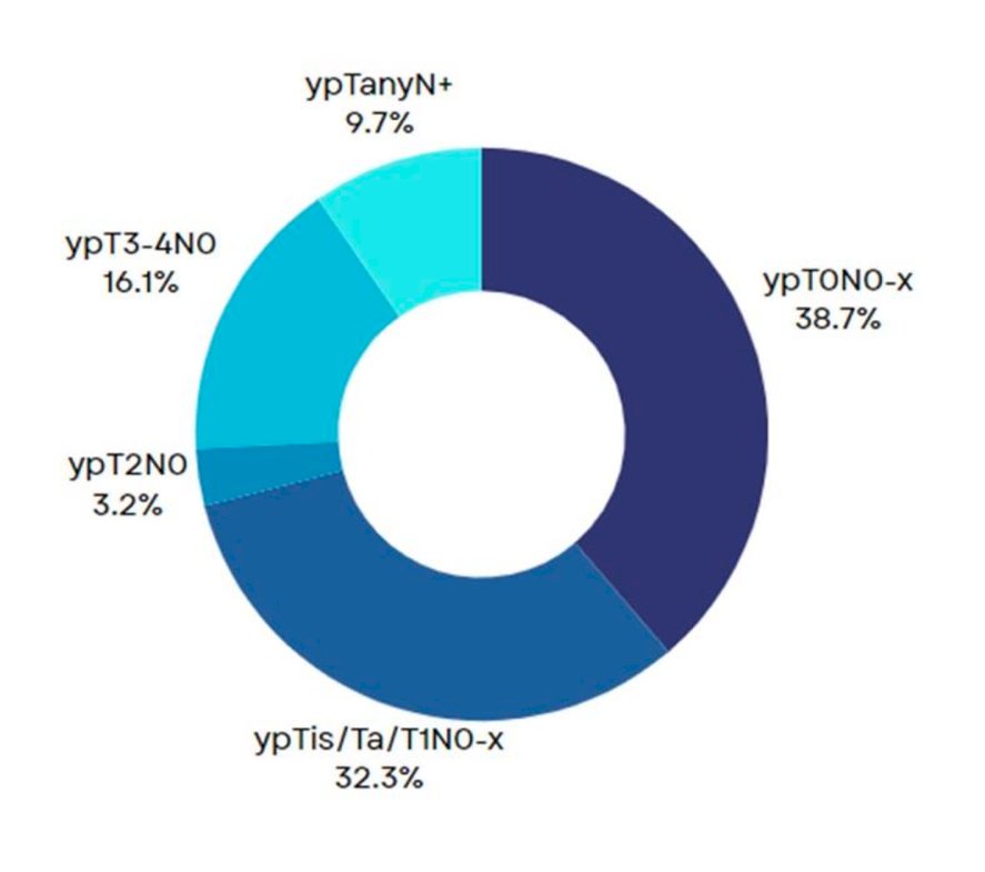 At a median follow-up of 12 months, 12 patients (38.7%) achieved an ypT0N0x response (pCR), and 22 (73%) had a ≤ypT1N0 response (pPR). No disease progression occurred during neoadjuvant ABX +NIVO therapy.