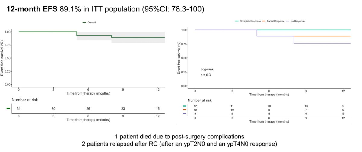 The 12-month event-free survival in the intention-to-treat population was 89.1%. Among the patients who relapsed after radical cystectomy, both failed to achieve a ypT1N0 response. 