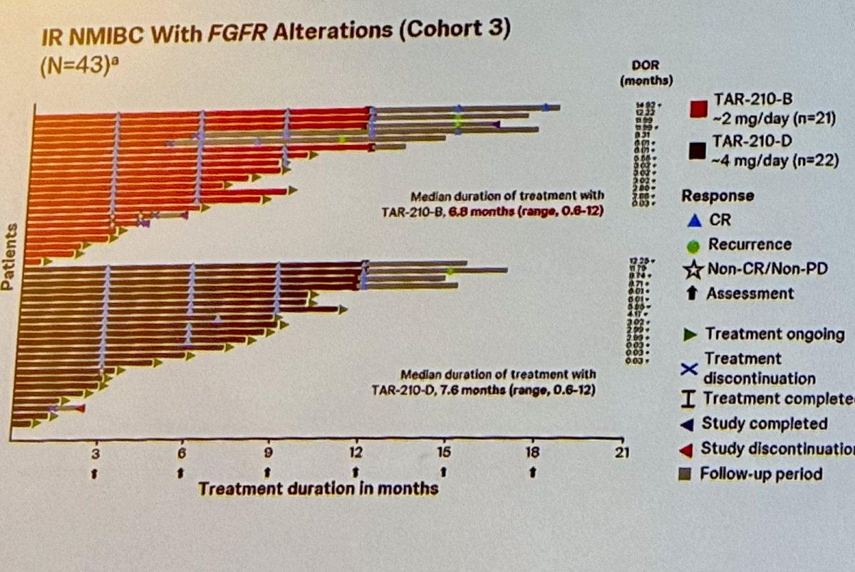 AUA 2024 First Safety and Efficacy Results of the TAR210 Erdafitinib