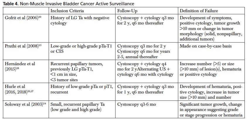 non muscle invasive bladder cancer active surveillance
