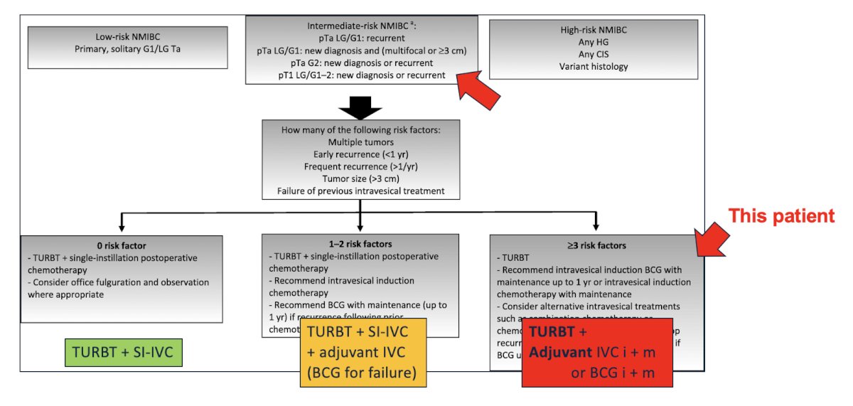 >= 3 risk factors and should be treated with TURBT + adjuvant induction and maintenance therapy