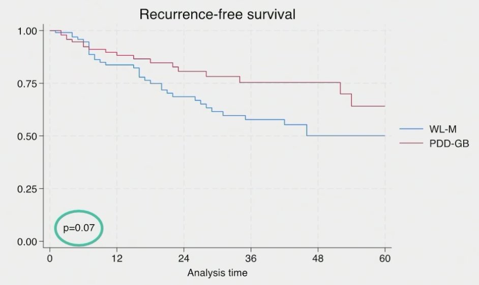 patients without CIS at biopsy, those staged using PDD-guided biopsy had superior recurrence-free, but not progression-free survivals