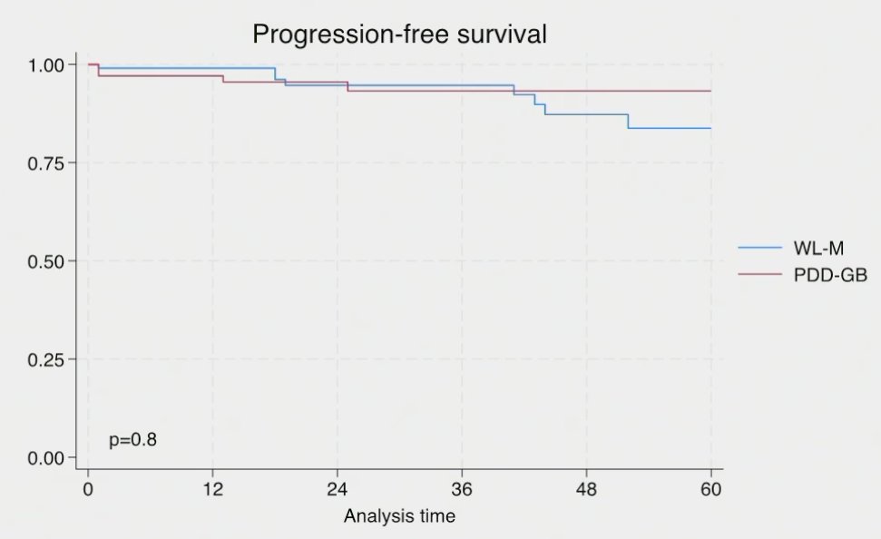 patients without CIS at biopsy, those staged using PDD-guided biopsy had superior recurrence-free, but not progression-free survivals 2