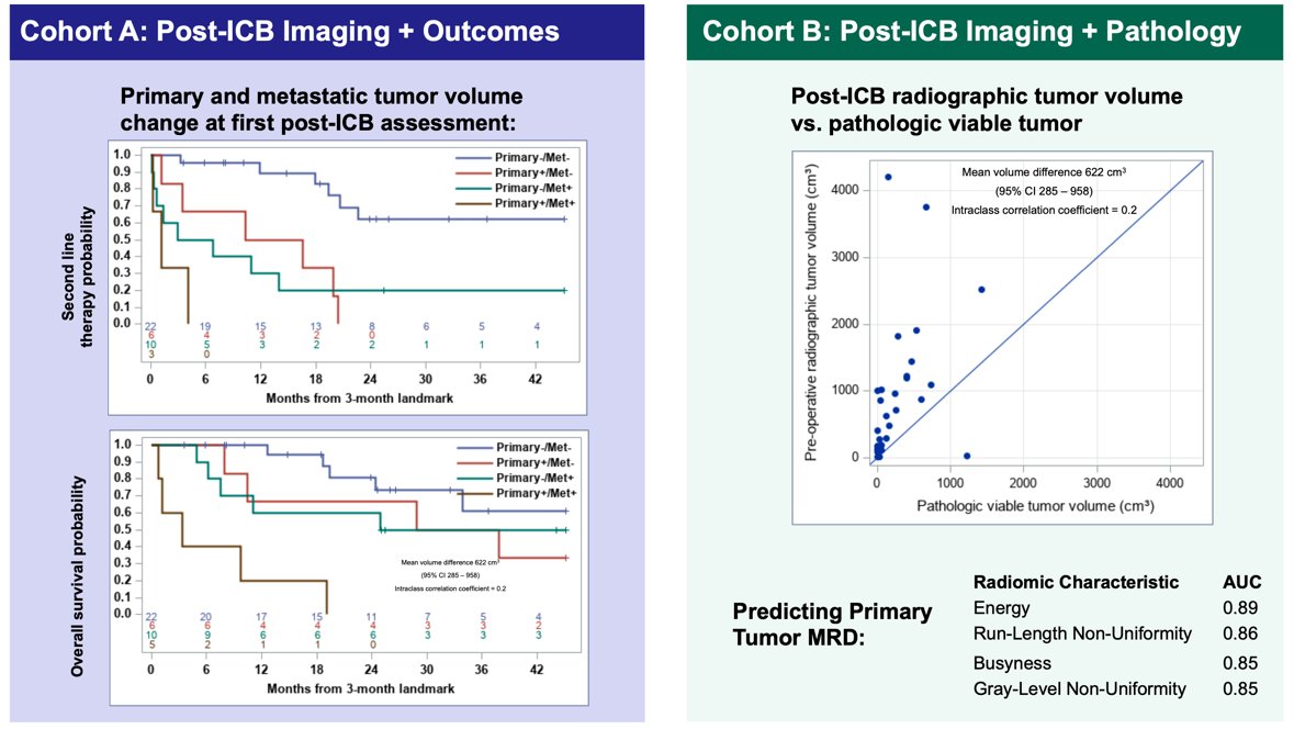 Cohort A and B Post-ICB Findings