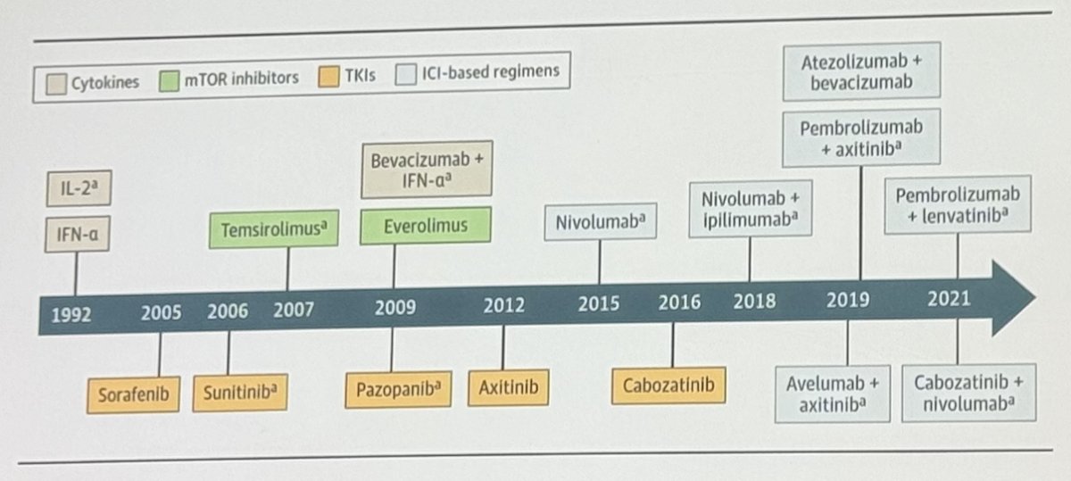 evolving timeline of systemic therapy options over the past two decades