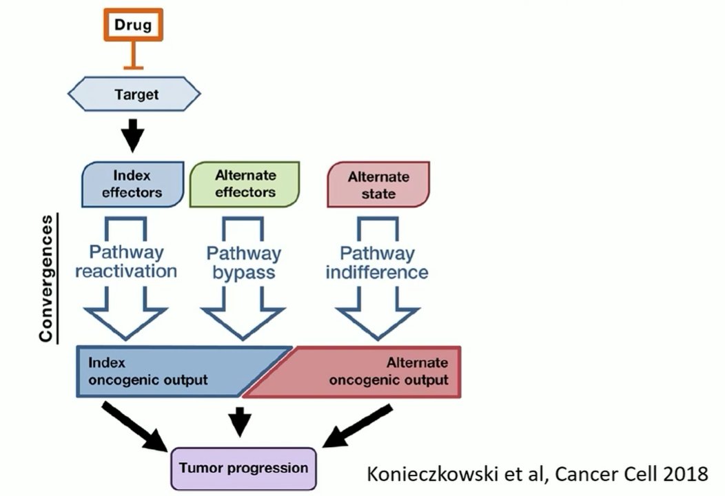 DNA repair mutations-0.jpg