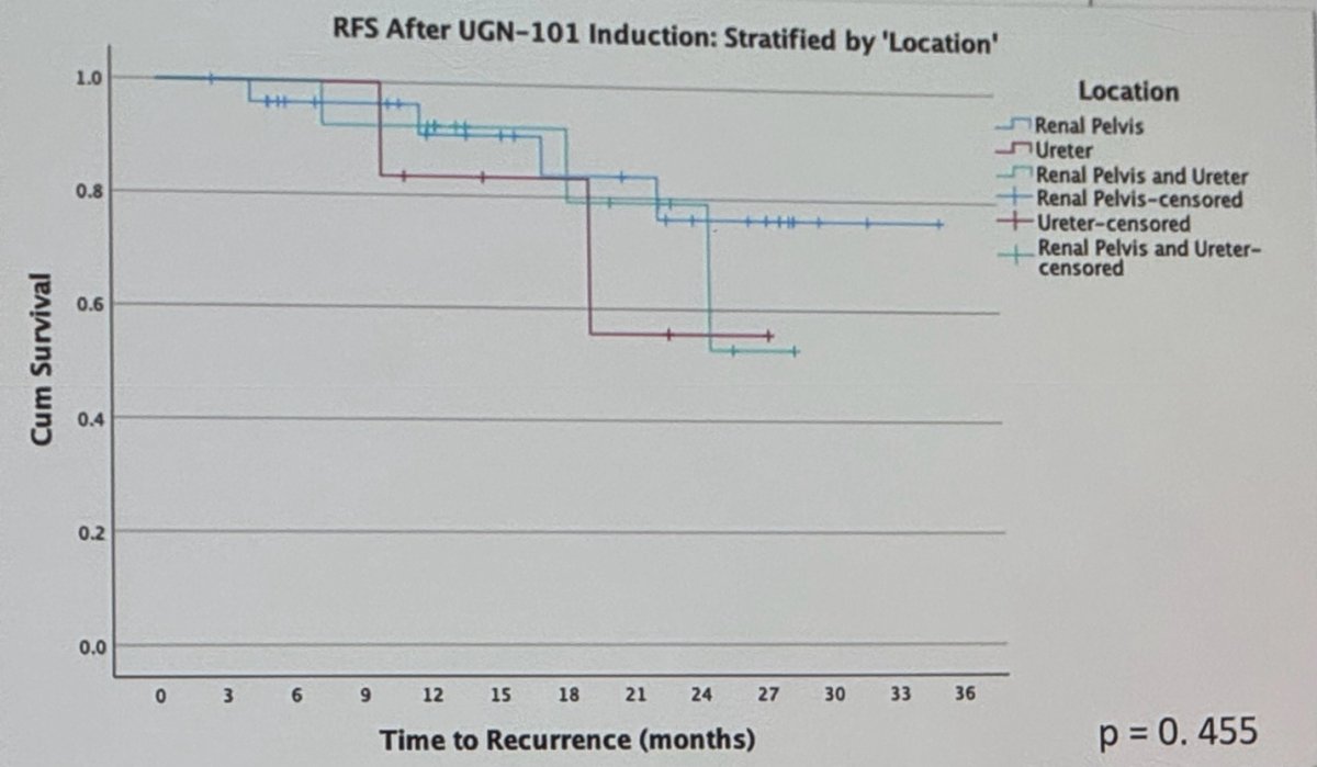 RFS after UGN 101 induction stratified by location