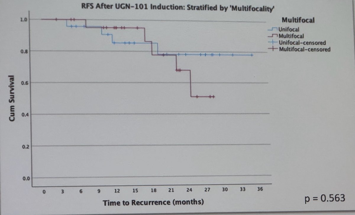 RFS after UGN 101 induction stratified by multifocality