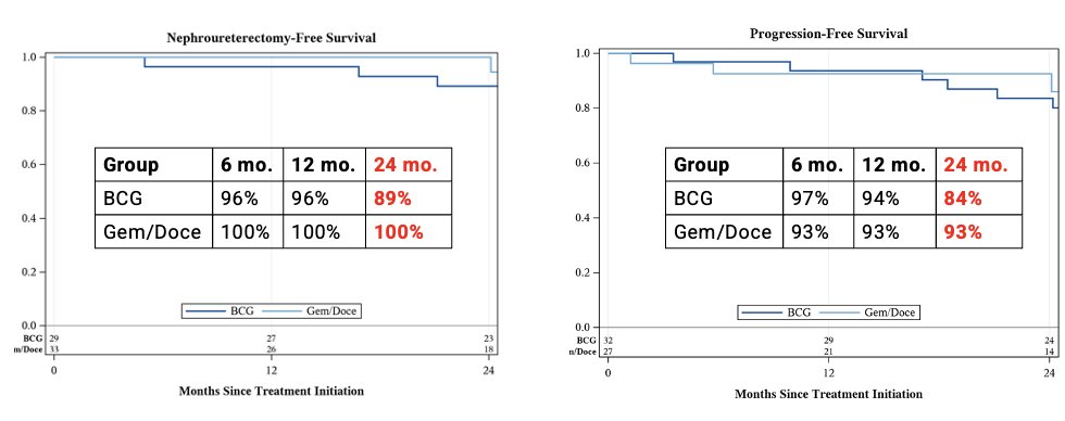 nephroureterectomy-free survival at 2 years was 89% with BCG and 100% with gemcitabine/docetaxel. Similarly, the progression-free survival at 2 years was 84% for BCG vs. 93% for Gem/Doce