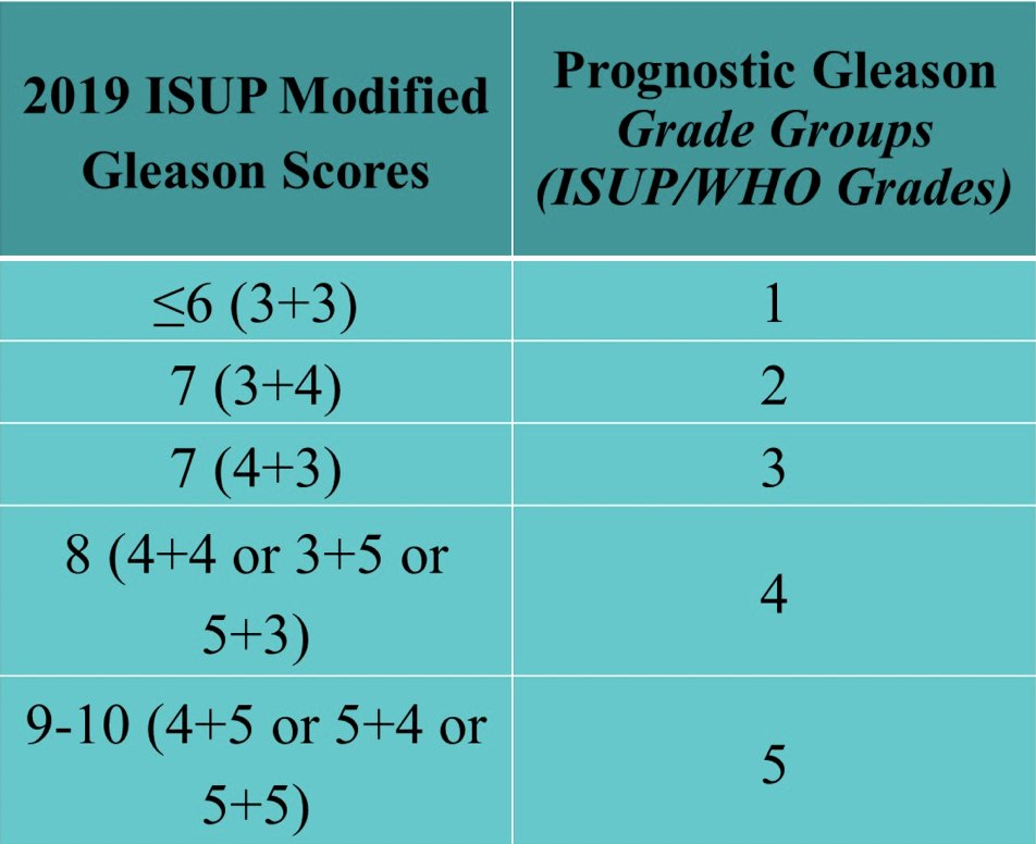 Dr. Cheng notes that the 2019 ISUP modified Gleason Scores were recently developed into prognostic Gleason Grade Groups (ISUP/WHO Grades)