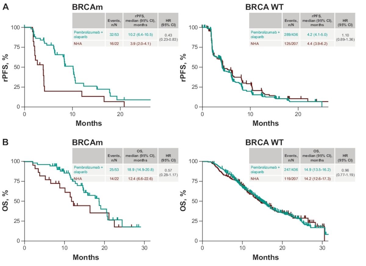 BRCAm patients, Pembrolizumab + Olaparib was associated with significantly better rPFS