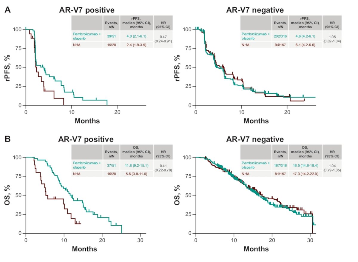  Pembrolizumab + Olaparib group, AR-V7 positivity exhibited a potential benefit in rPFS