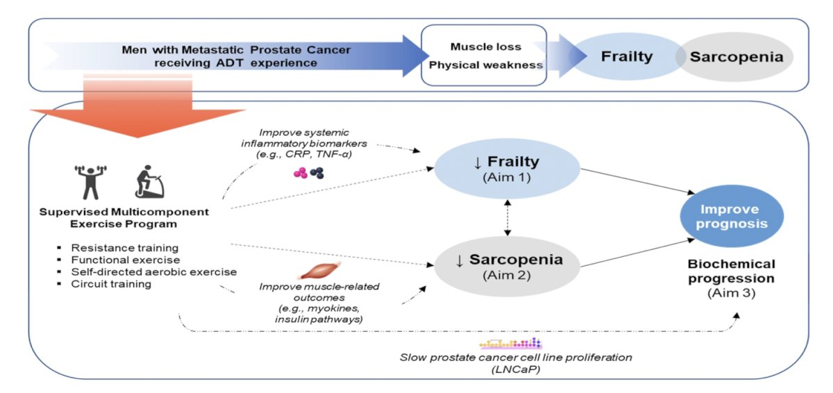 ASCO 2024: Debunking the Frailty-Sarcopenia-ADT Axis in Metastatic Prostate Cancer with Multicomponent Exercise: The FIERCE Trial