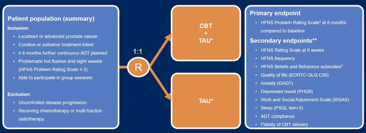 Uno studio multicentrico e randomizzato sulla terapia cognitivo comportamentale di auto-aiuto per la gestione dei sintomi di vampate di calore e sudorazioni notturne in pazienti con cancro alla prostata sottoposti a ADT