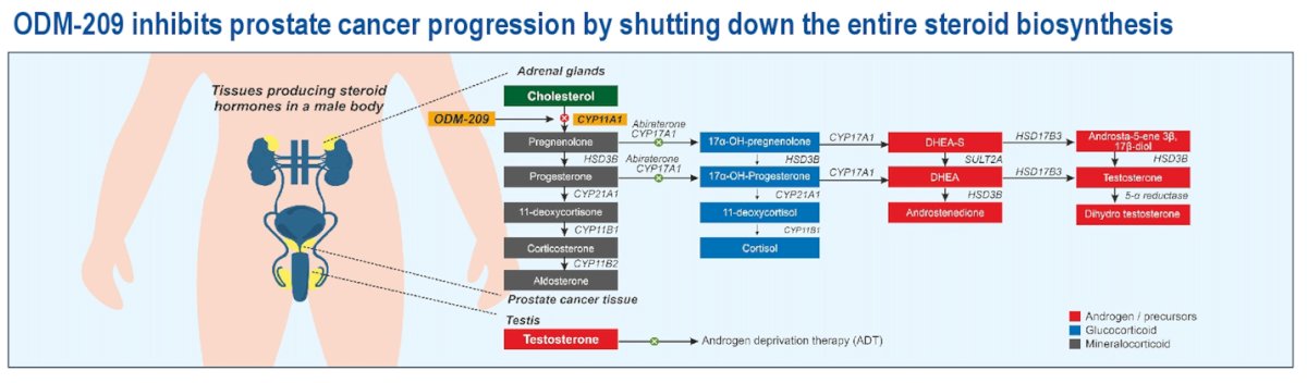 Results from the STESIDES Phase 1 Study