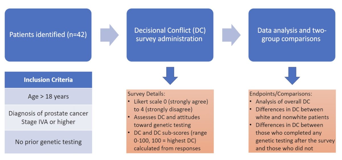 Race and decisional conflict about genetic testing in patients with advanced prostate cancer study characteristics