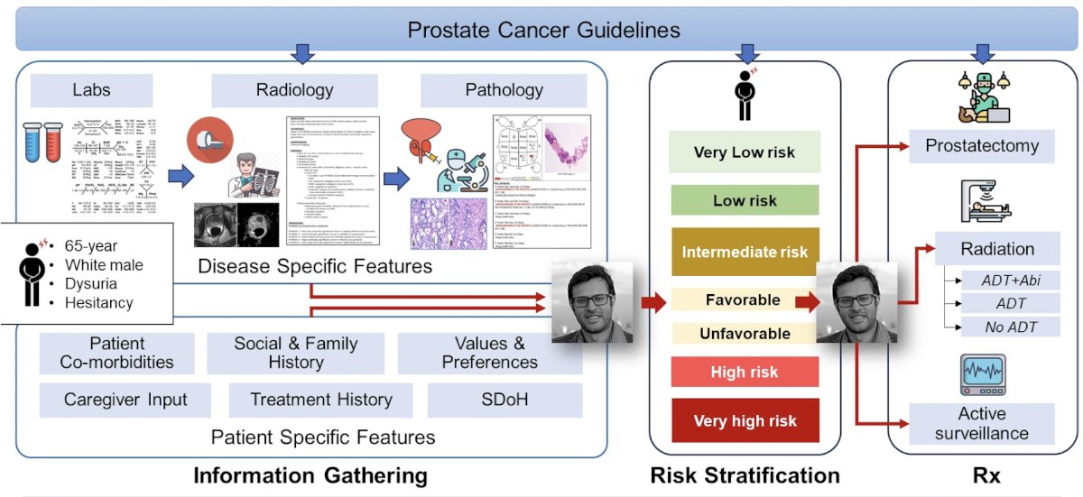 The process of treatment selection for localized prostate cancer includes information gathering, risk stratification and then finally treatment