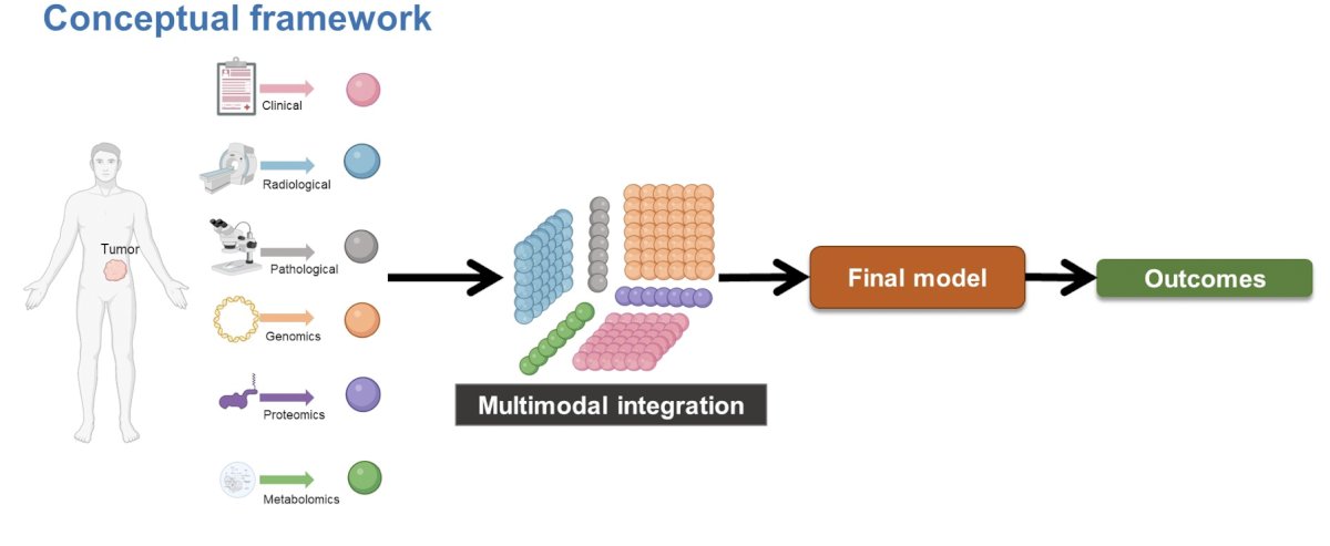  opportunity for multi-modal integration, for which the conceptual framework
