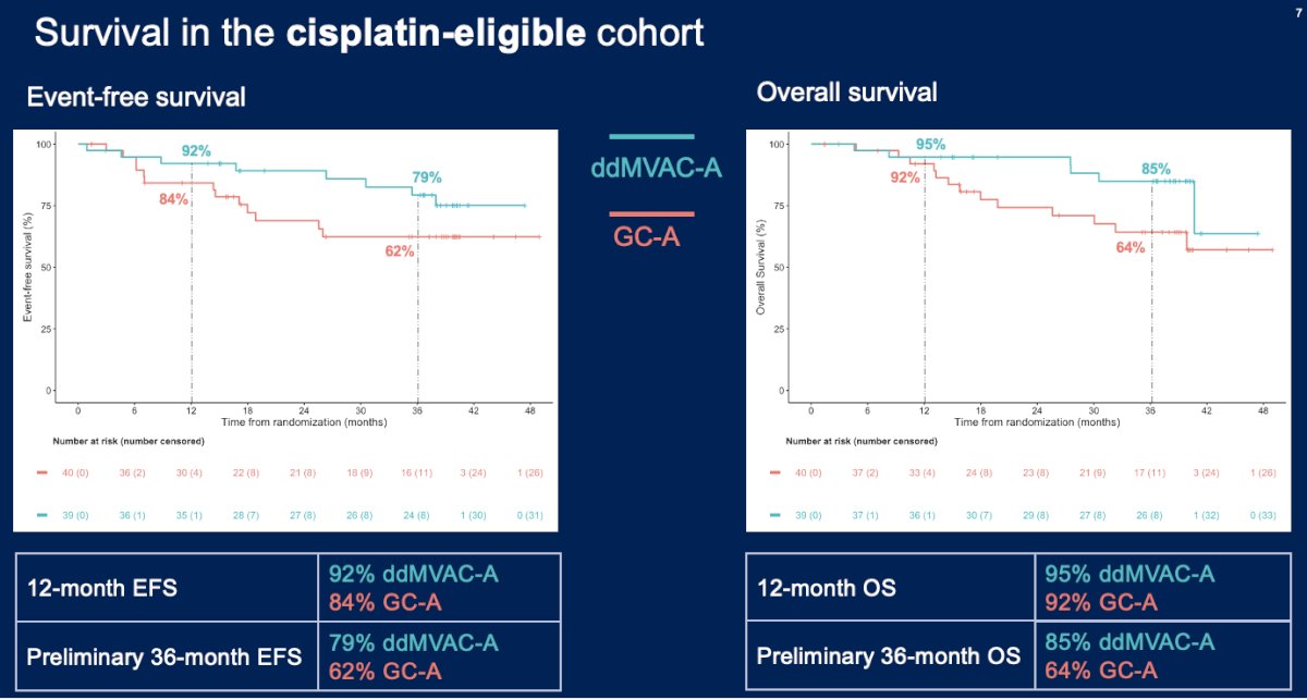 survival, the 12 months rates were slightly higher in favor of ddMVAC + avelumab (95% versus 92%) and considerably higher at 36 months in favor of ddMVAC + avelumab (85% versus 64%)