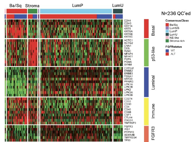Molecular classification of tumors identified a significant proportion of luminal-papillary subtype in the tumors harboring FGFR3 alteration compared to FGFR wild-type