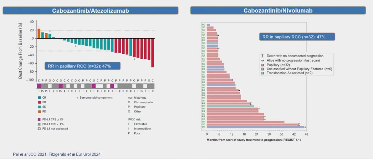 efficacy of Cabozantinib in combination with Nivolumab in 40 patients with pRCC