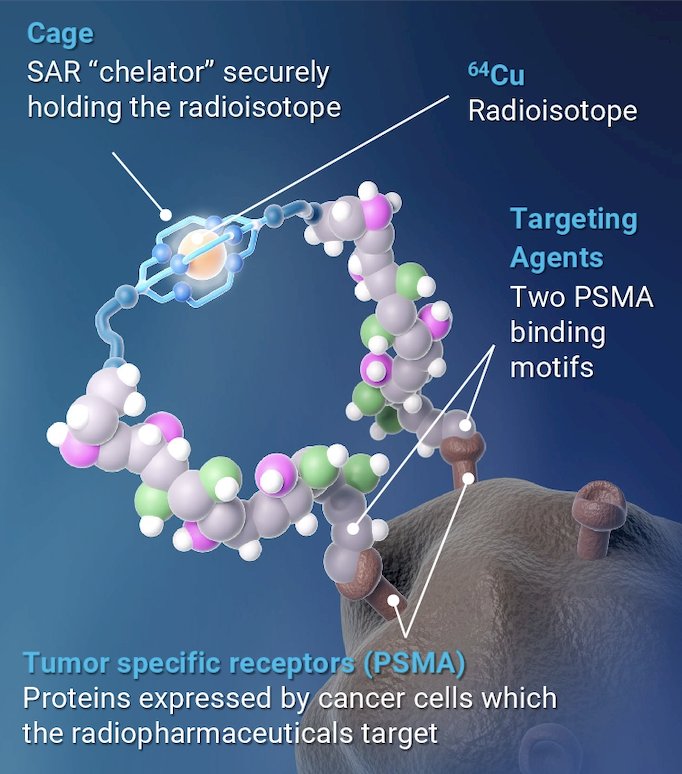 Assessment of Safety and Efficacy of 64Cu-SAR-bisPSMA in Patients with Biochemical Recurrence of Prostate Cancer Following Definitive Therapy