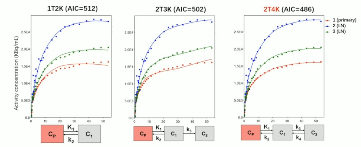 Full pharmacokinetic investigation found that a reversible two-compartmental (2T4K) model is the preferred model for the provided tracer