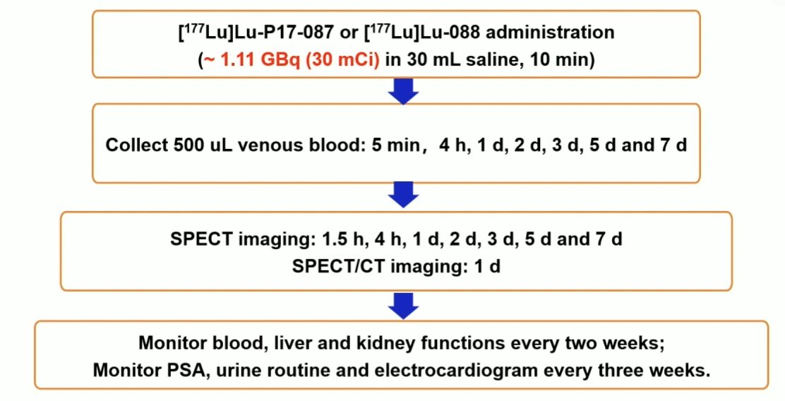 General safety and therapeutic efficacy were assessed by follow-up interview, 68Ga-PSMA-11 PET/CT and blood tests (including PSA)