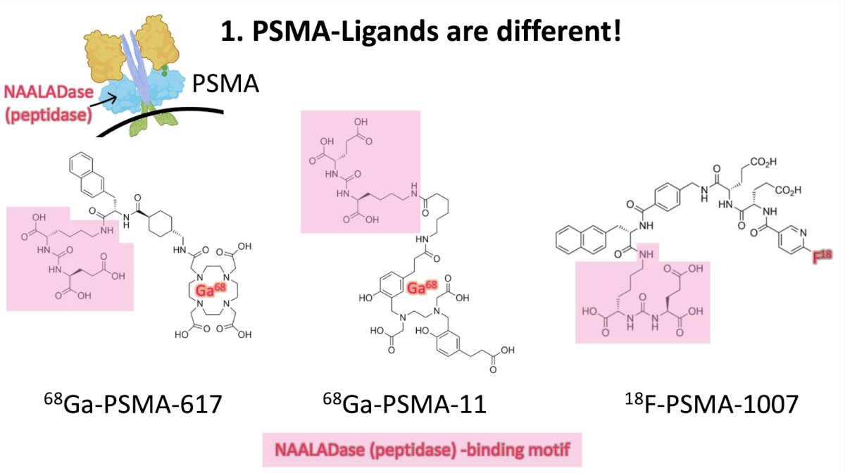  the chemical structure of the different PSMA ligands, including 68Ga-PSMA-617, 68Ga-PSMA-11, and 18F-PSMA-1007