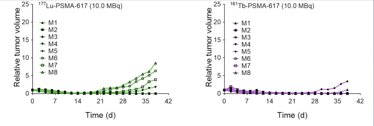 relative tumor volume in mice over time for 161Tb-PSMA-617 versus 177Lu-PSMA-617