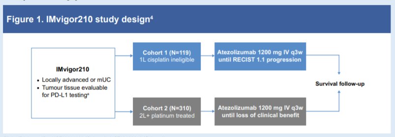 ESMO 2021: Atezolizumab Monotherapy In Cisplatin-Ineligible Patients ...