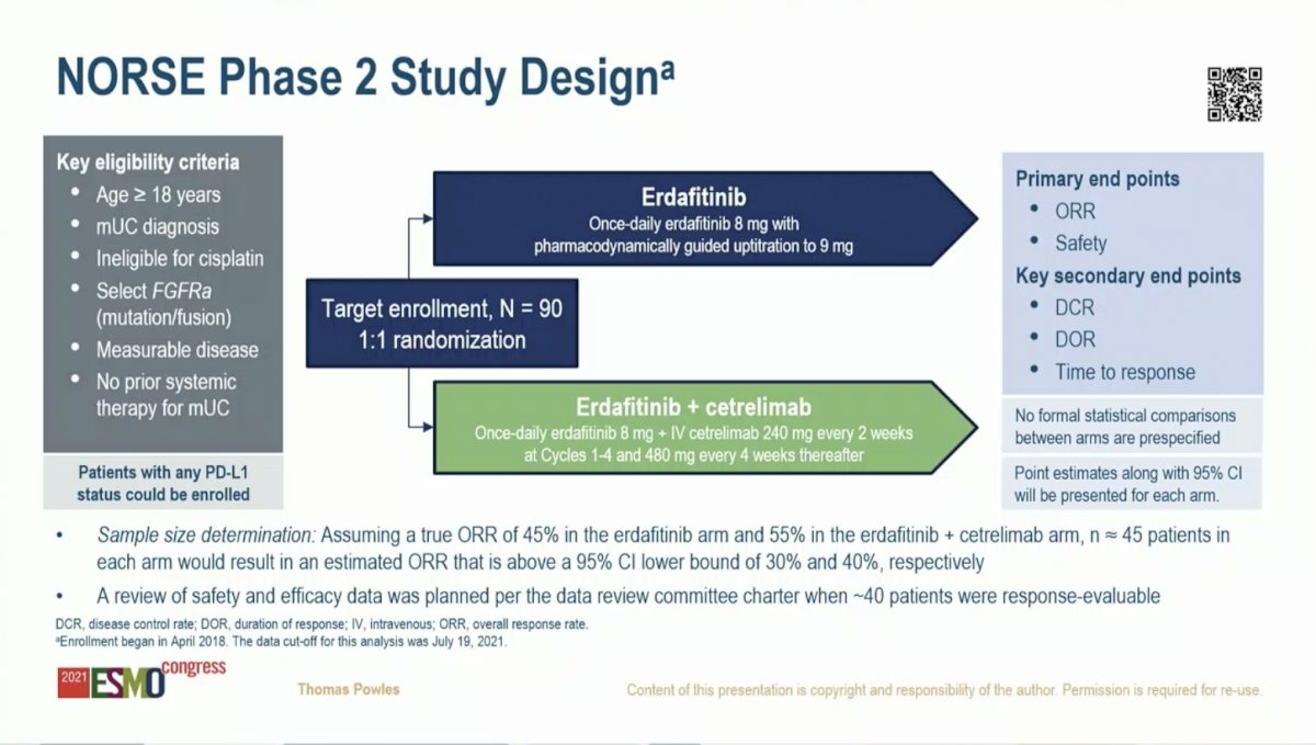 Erdafitinib-0.jpg